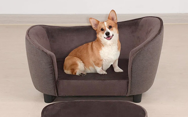Cozy Brown Dog Sofa with Dog