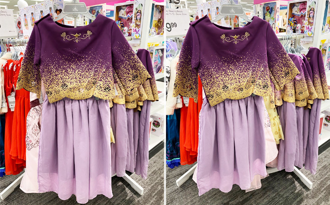 Disney Jasmine Adaptive Dress