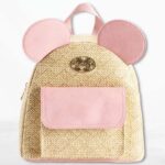 Disney Mini Packpack