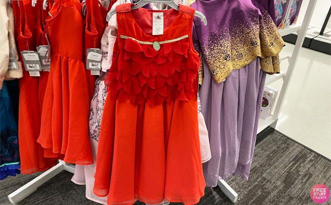 Disney Princess Dresses at Store