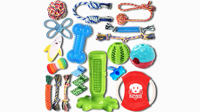 Dog Chew Toys for Puppy 20 Count