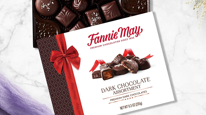 Fannie May Dark Chocolate Assorted Candy Box 8.3 Ounce