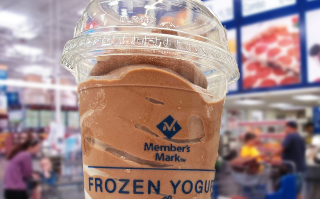 Fantastic frozen yogurt Fantastic frozen yogurt