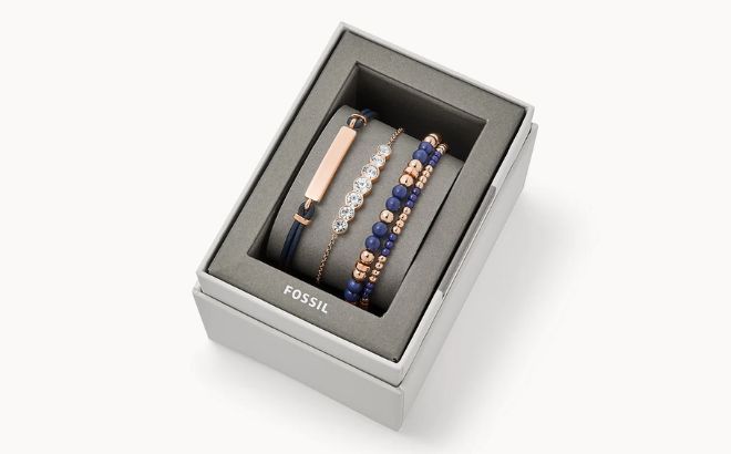 Fossil Two Tone Steel Bracelets Gift Set on a Light Beige Background Fossil Womens Navy Stainless Steel Combo Set in Blue Color