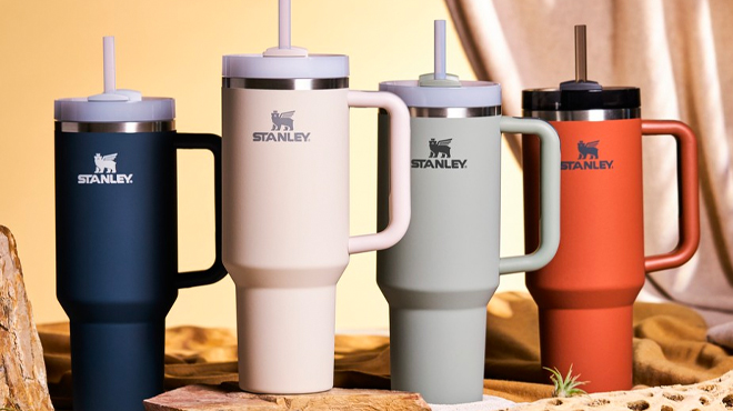 Just Dropped Adorable New Stanley Tumbler Straw Toppers – SheKnows