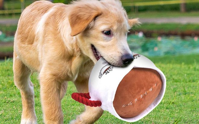 Friends Central Park Coffee Mug Dog Toy