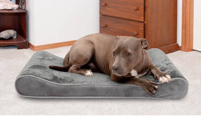 Gray Minky Plush Velvet Luxe Lounger Contour Dog Pillow