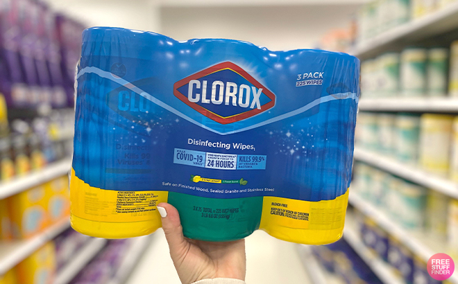 Hand Holding Clorox Disinfecting Wipes 225 Count