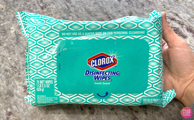 Hand Holding Clorox Disinfecting Wipes 75 Count