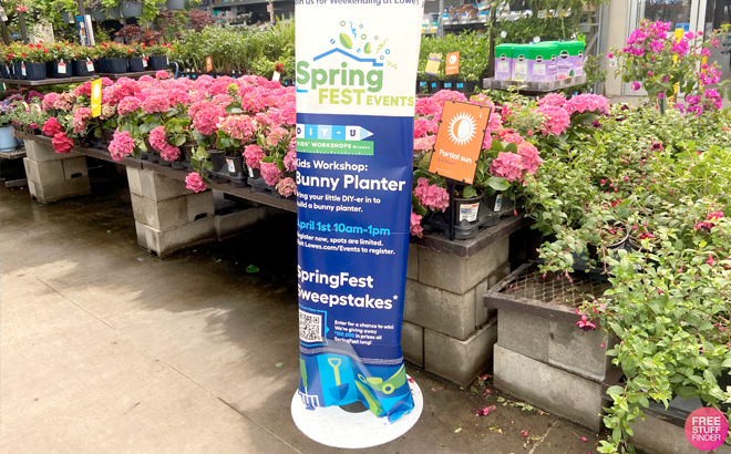 Lowes Flowering Event Stands