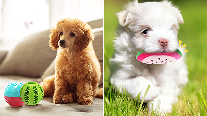 Luxury Puppy Toys for Teething