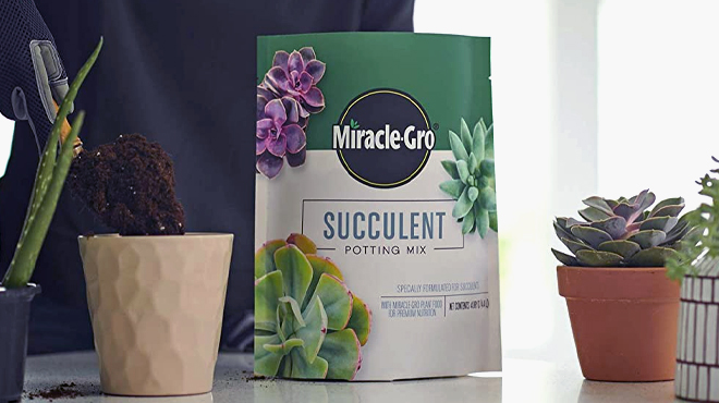 Miracle Gro Succulent Potting Mix on table Miracle Gro Succulent Potting Mix on table