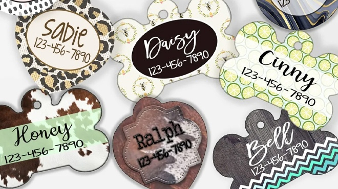 Personalized Pet Tag on a Gray Background