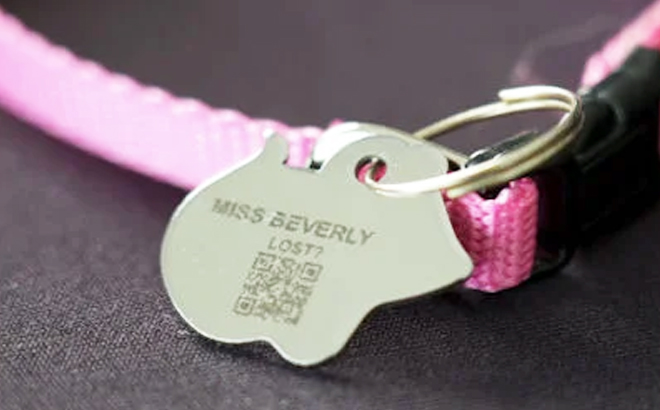 Pet ID Tag