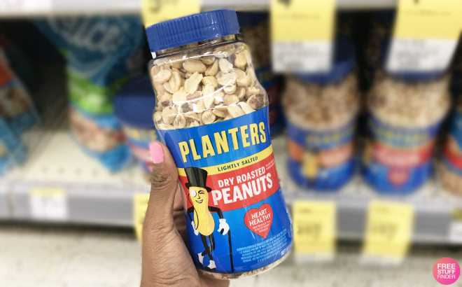 Planters Dry Roasted Lightly Salted Peanuts