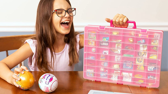 Plastic Toy Storage Case in Pink Plastic Toy Storage Case in Pink