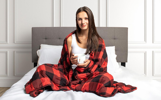 Sadfie Co Inc Plaid Weighted blanket