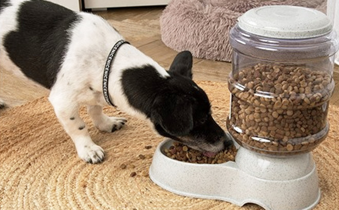 Self Dispensing Pet Feeder