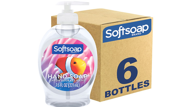 Softsoap Moisturizing Liquid Hand Soap 6 Pack