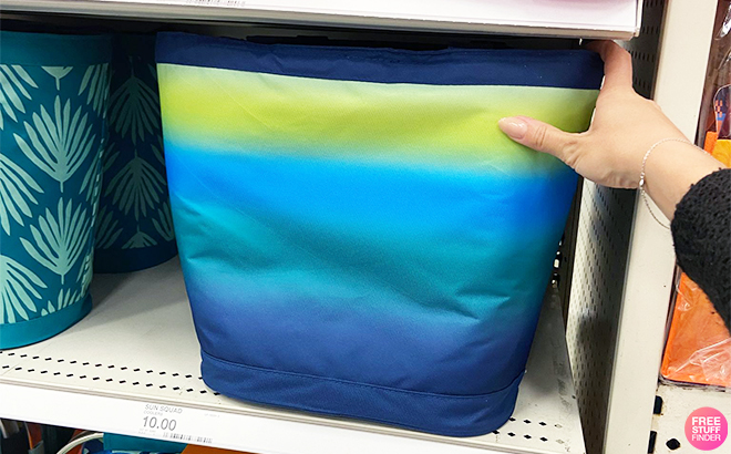 Sun Squad Cooler Totes on Shelves in Blue Gradient at Target