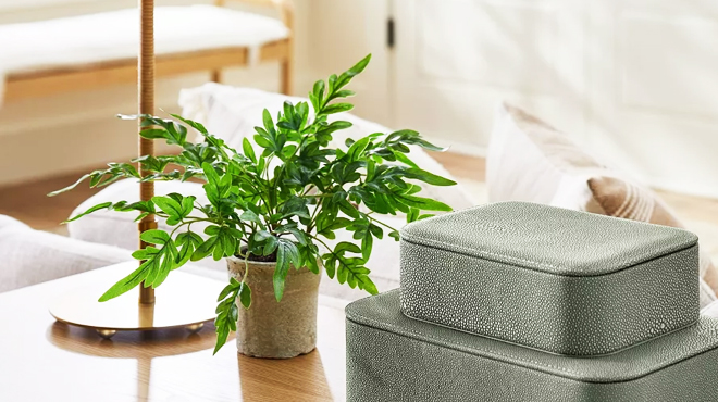 Threshold and Studio McGeeSmall Artificial Ribbon Fern Leaf in Pot