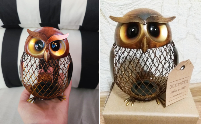Tooarts Owl Shaped Metal Coin Bank