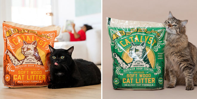 Two Different Variants of Catalyst Upcycled Cat Litter
