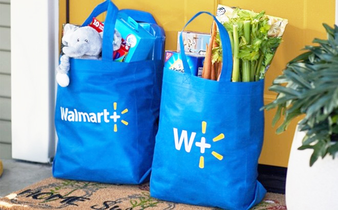 Two Walmart Grocery Delivery Bags in Front of a Front Door of a Home