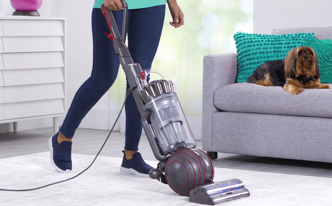 Woman Holding Dyson Ball Animal 3 Upright Vacuum