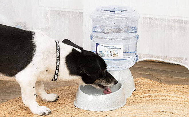 thumbnail image 2 of Gravity Pet Feeder & Water Dispenser Set - Automatic Food And Water Bowls For Dogs And Cats (Large Size) 2 of 12