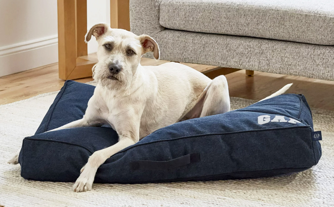 A Dog Laying Down on Gap Denim Logo Flat Pet Bed in Dark Blue Color