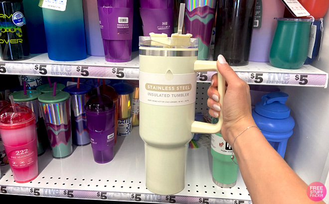 A Person Holding Stainless Steel Tumbler At Five Below
