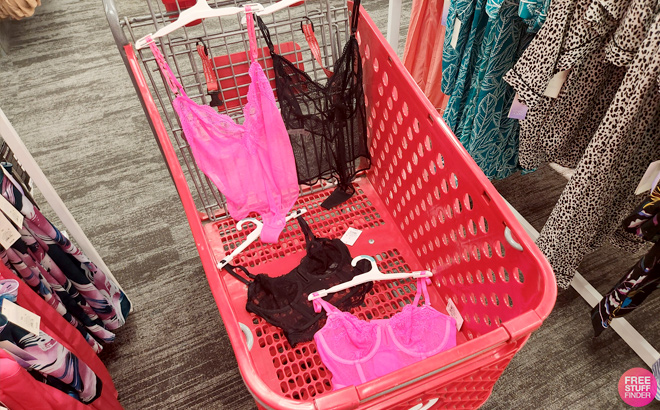 Auden Lingerie Corsets and bodysuits in two colors in a cart at Target