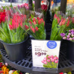 Beautiful Tulips on rack