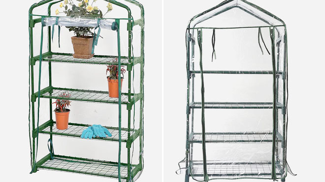 Bloom 4 Tier Portable Greenhouse with Shelves 4 ft