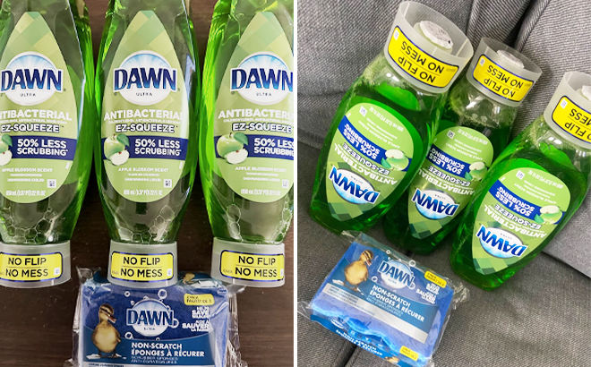 Dawn Dish Soap 3 Pack 2 Sponges on Couch