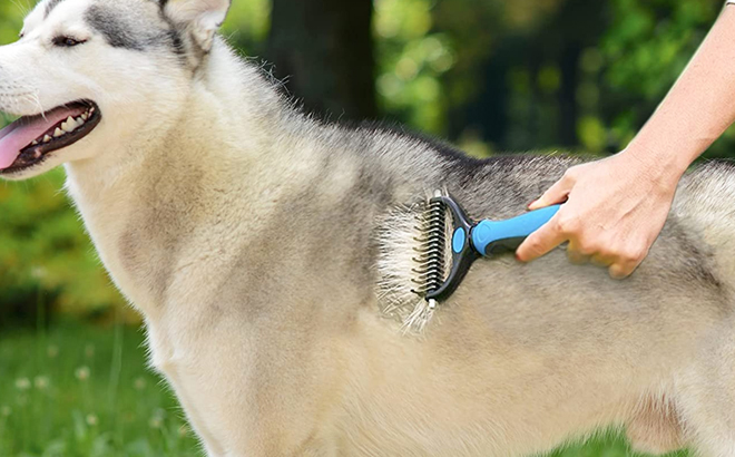 Hand Holding a Pet Deshedding Brush and Brushing a Dog