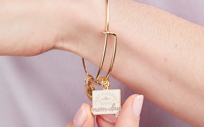 Just Another Manic Mom Day Charm Bangle Bracelet
