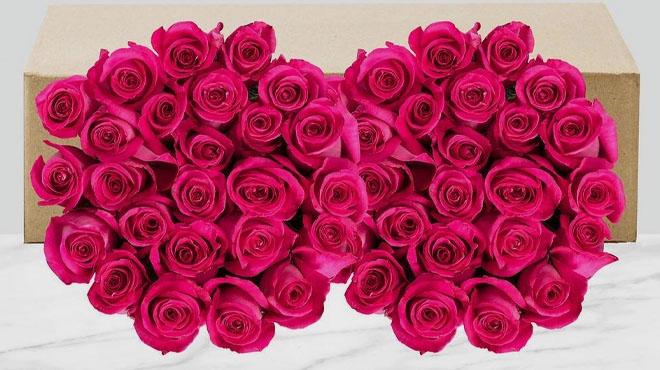 Mothers Day Hot Pink Roses 50 Stems 1