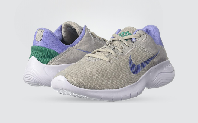 Nike Womens Flex Experience Running Shoes In Grey And Blue Color