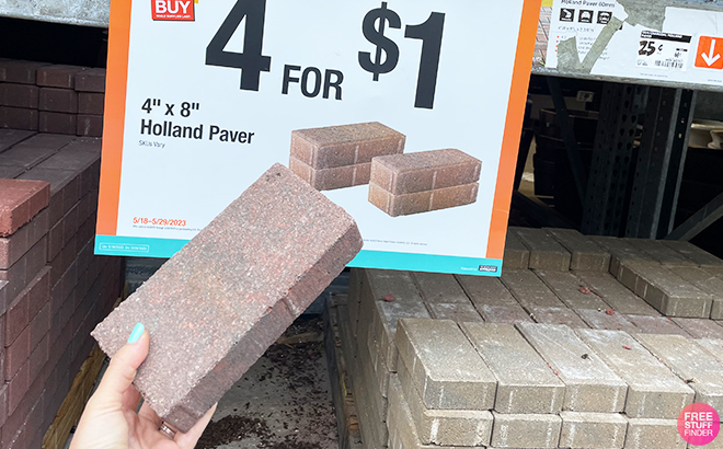 Person Holding Holland Paver