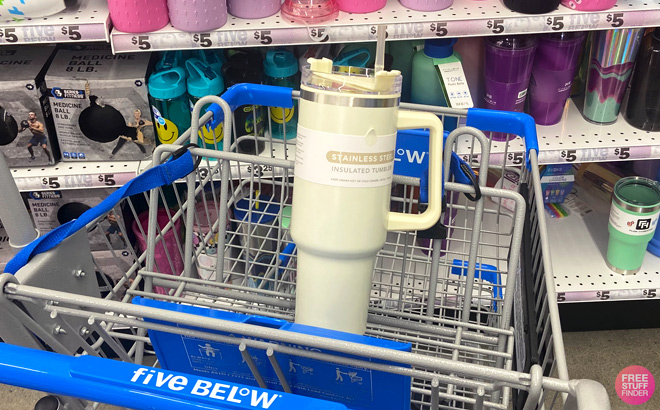 Stainless Steel Insulated Beige Tumbler in a Five Below Cart