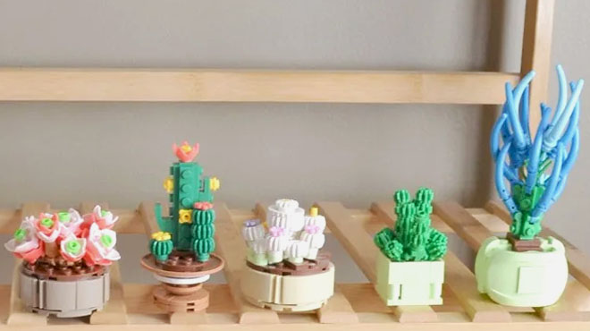 Succulent Building Blocks 2 1
