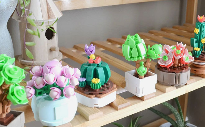 Succulent Building Blocks