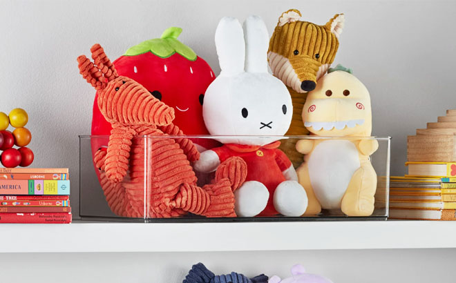 The Home Edit XL Clear Plastic Storage Bin with Stuffs Inside