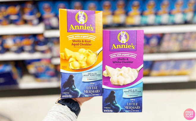 a Person Holding Two Boxes of Annies Macaroni and Cheese with Different Flavors