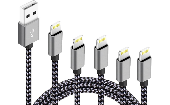iPhone Charger Cables 5 Pack