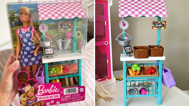 Barbie Careers Farmers Market Doll and Playset on the Left and Same Item Without Box on the Right
