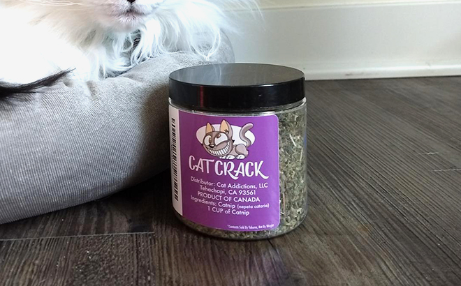 Cat Crack Catnip