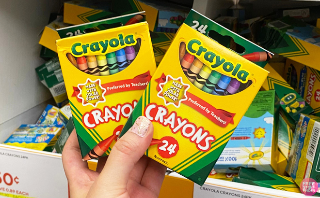 Crayola Crayons in Assorted Colors